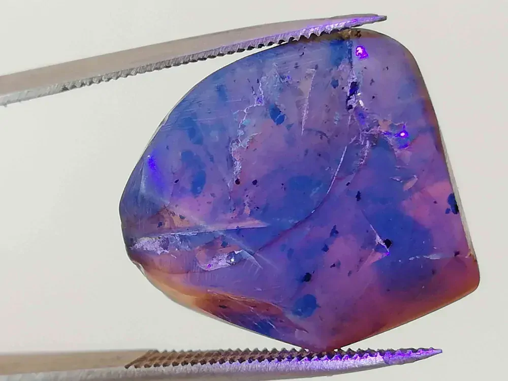 Křídový jantar B-127