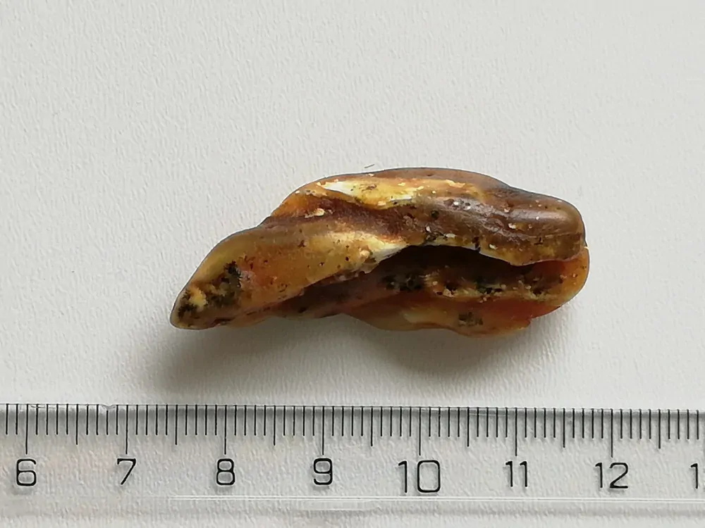 Baltský jantar P-12