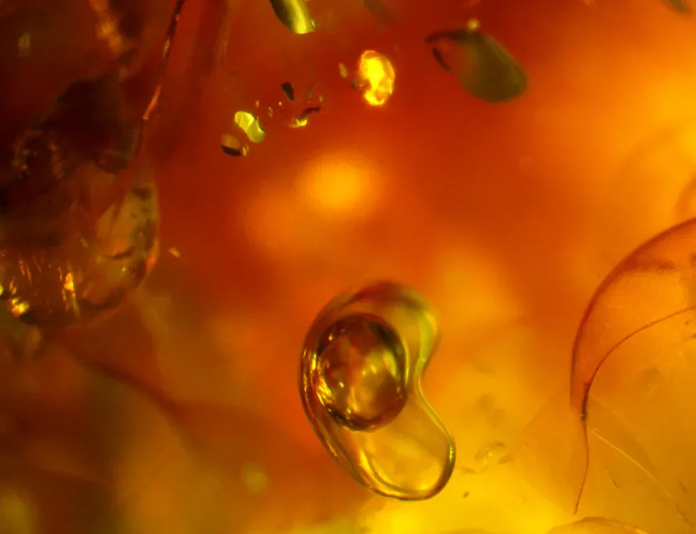 Okno do baltského jantaru PO-16