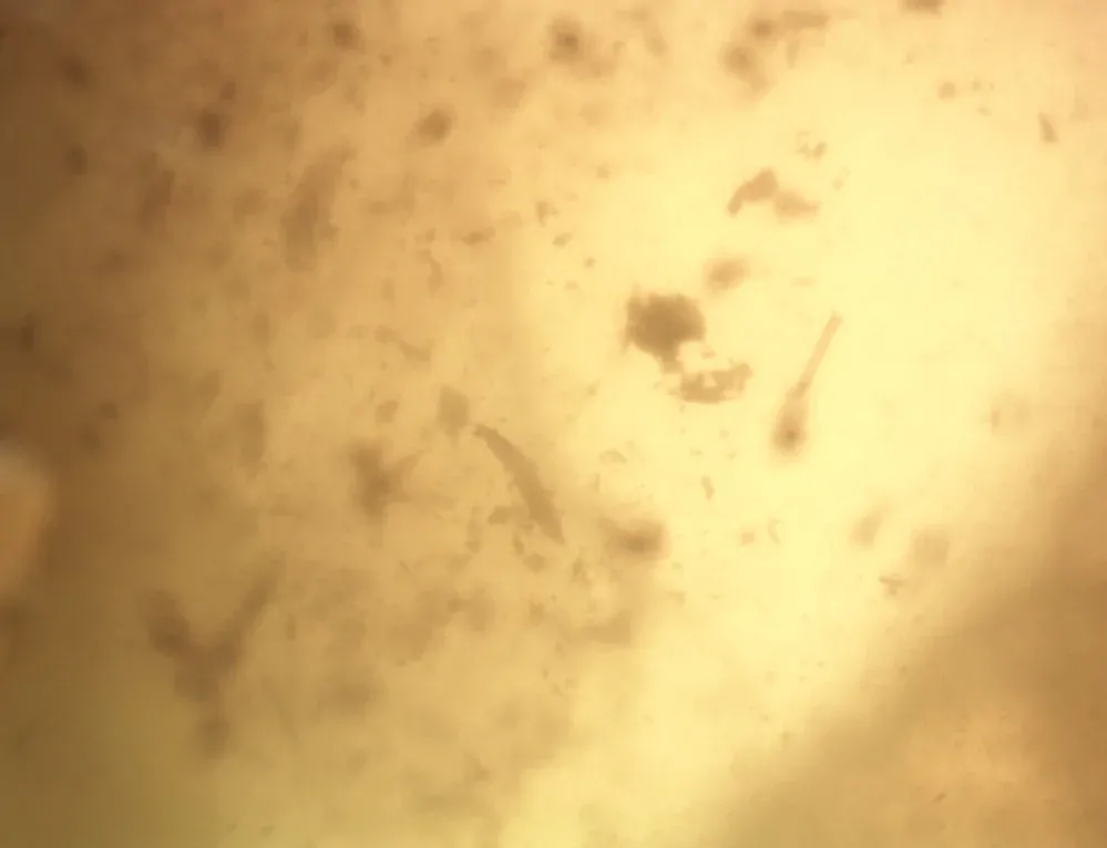 Okno do baltského jantaru PO-27