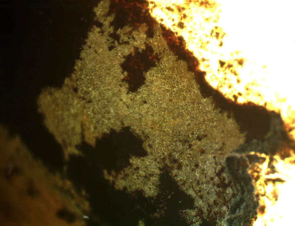 Okno do baltského jantaru PO-30