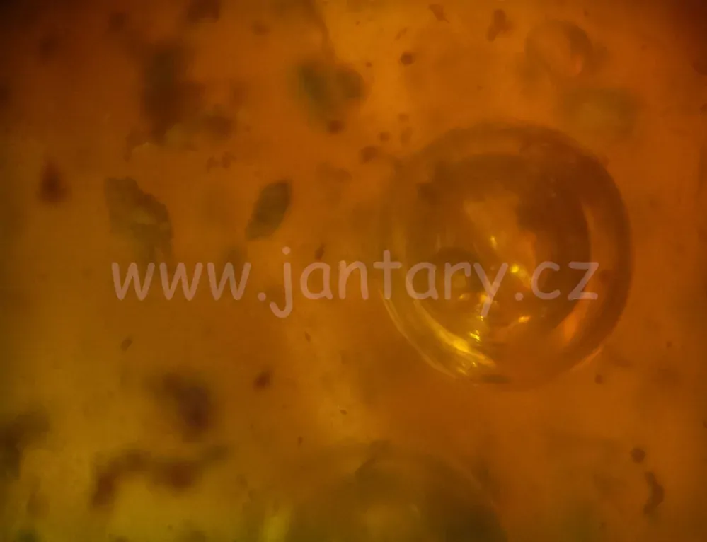 Okno do baltského jantaru PO-32