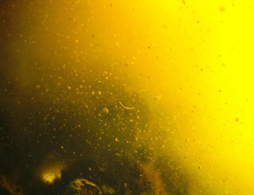 Okno do baltského jantaru PO-43