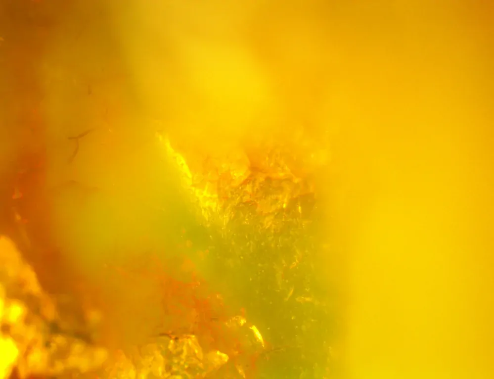 Okno do baltského jantaru PO-46