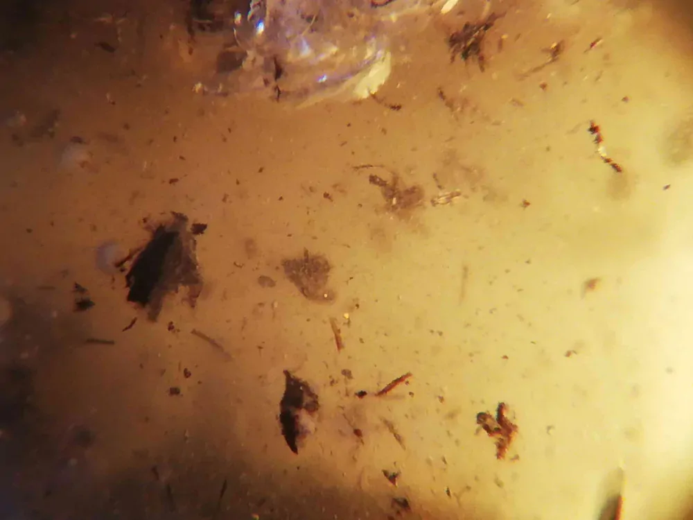 Okno do baltského jantaru PO-47