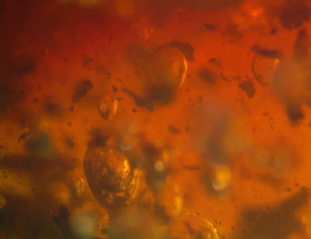 Okno do baltského jantaru PO-51