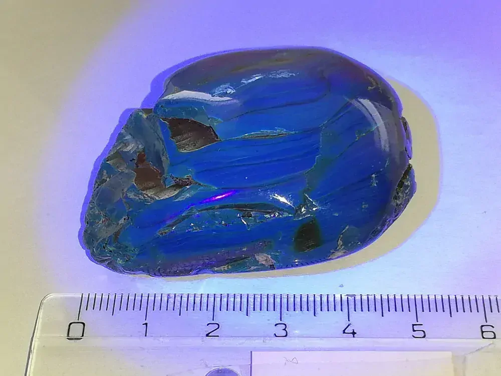 Křídový jantar B-139