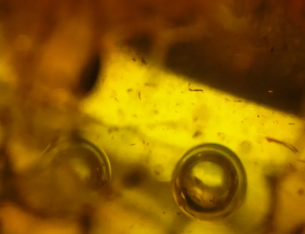 Baltský jantar P-14