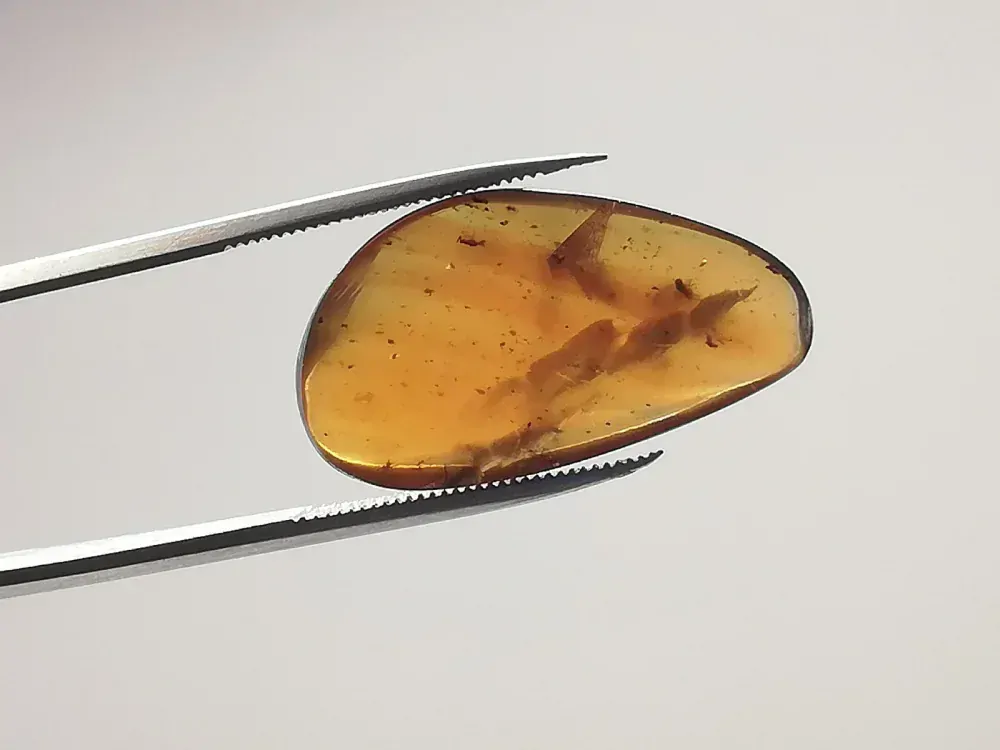 Křídový jantar B-185