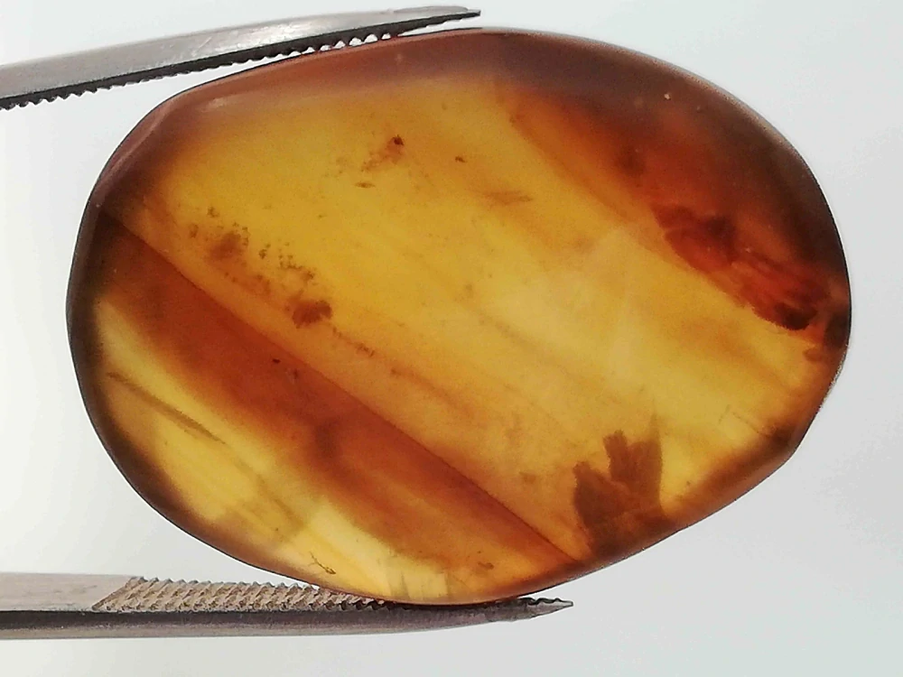 Druhohorní jantar z Myanmaru BJ-32