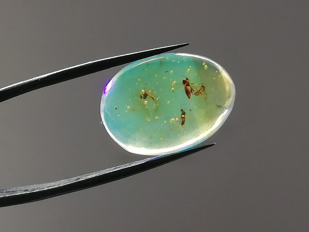  Křídový jantar B-210