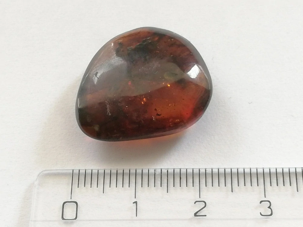   Křídový jantar B-222