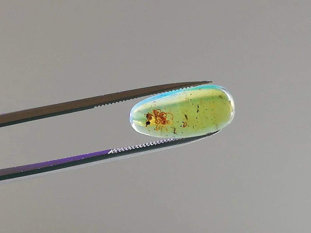   Křídový jantar B-232