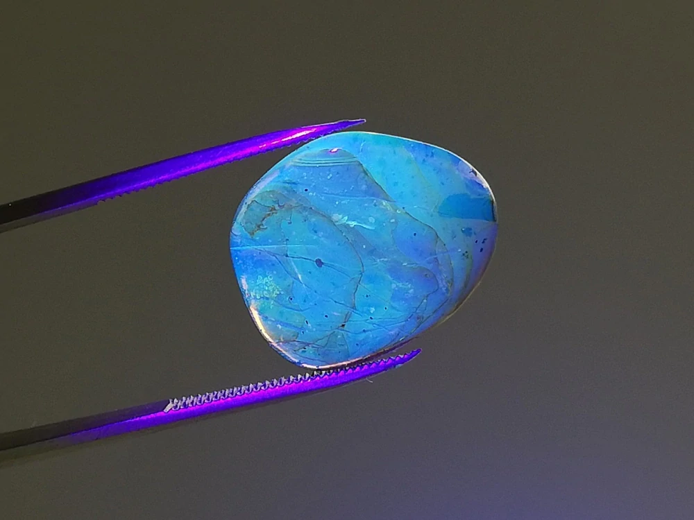   Křídový jantar B-233