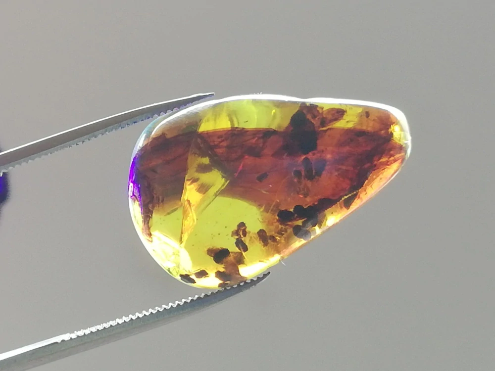   Křídový jantar B-234