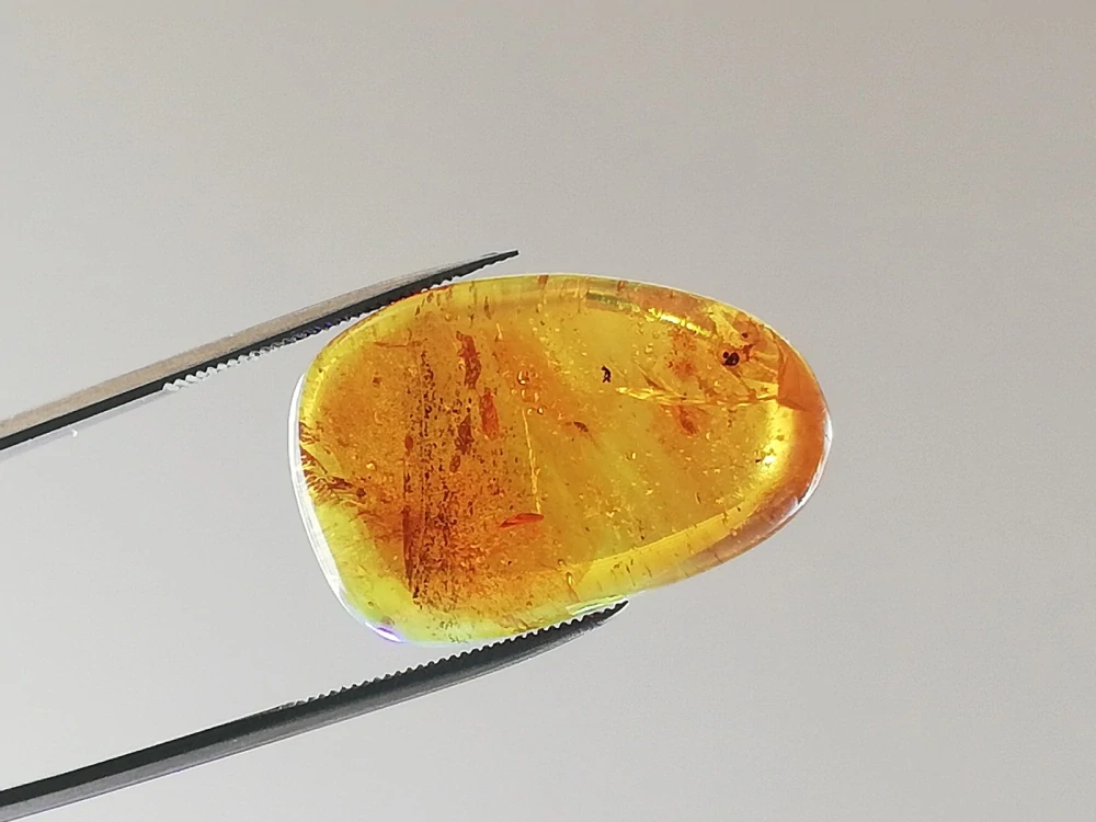   Křídový jantar B-236