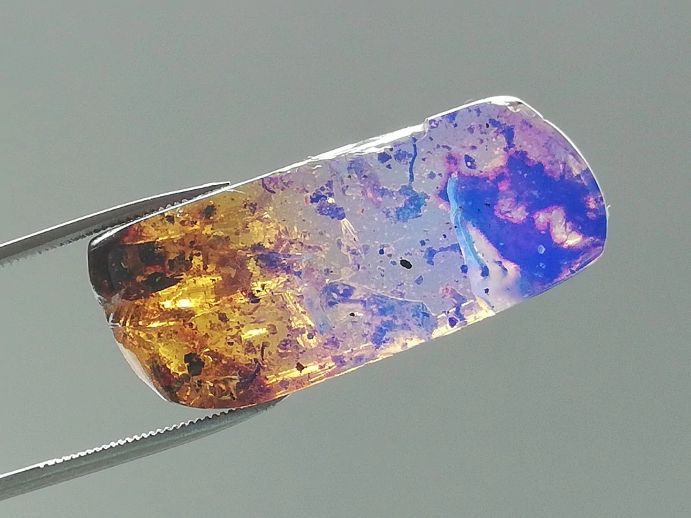   Křídový jantar B-237