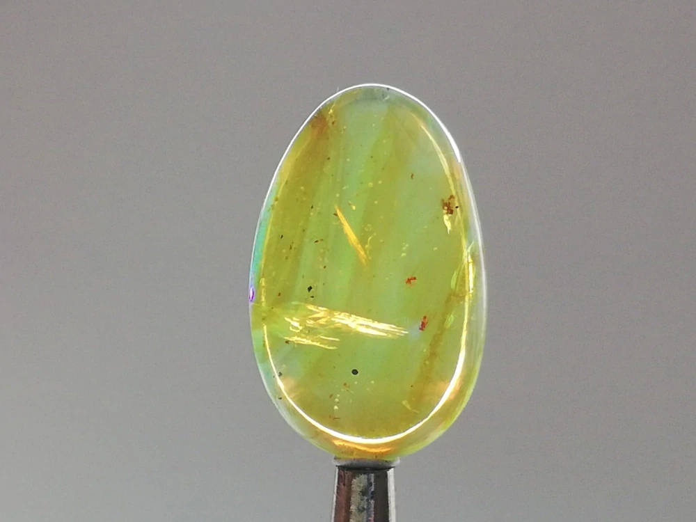  Křídový jantar B-239