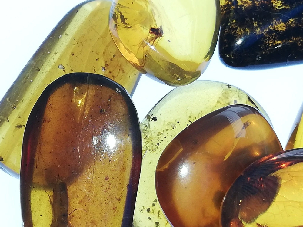  Křídový jantar SJ-72