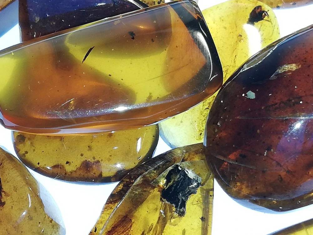  Křídový jantar SJ-82