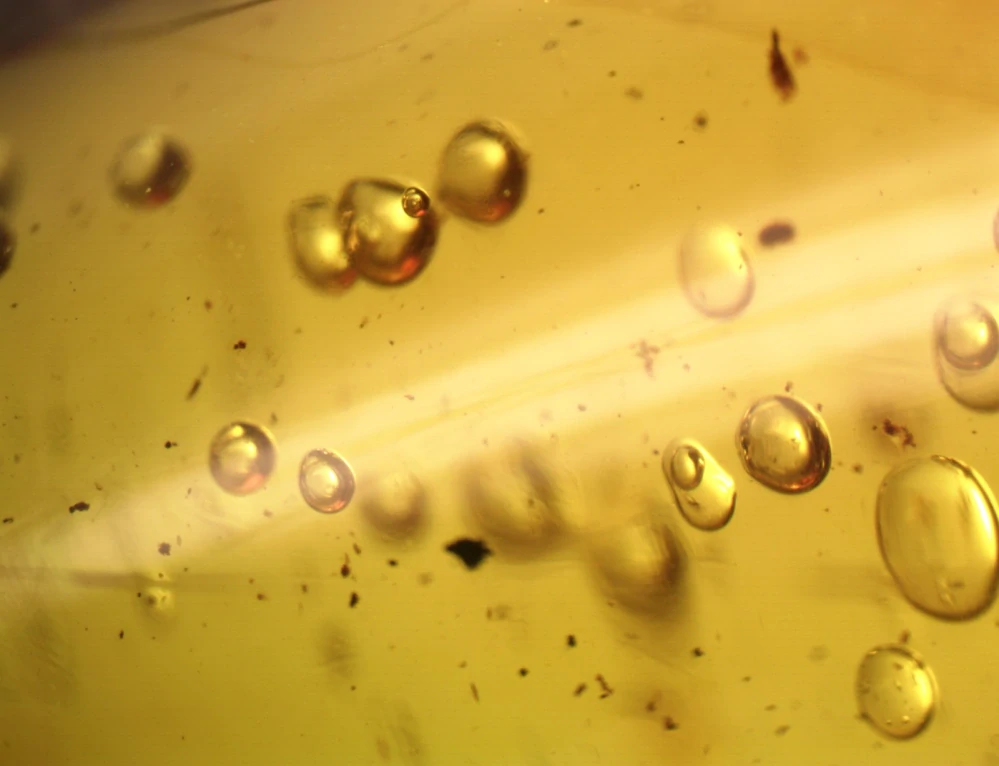  Křídový jantar B-259