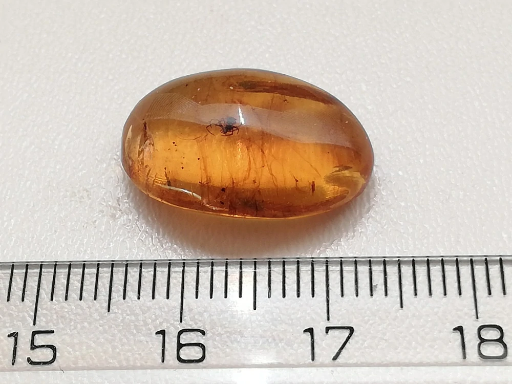 Druhohorní jantar z Myanmaru JHI-16