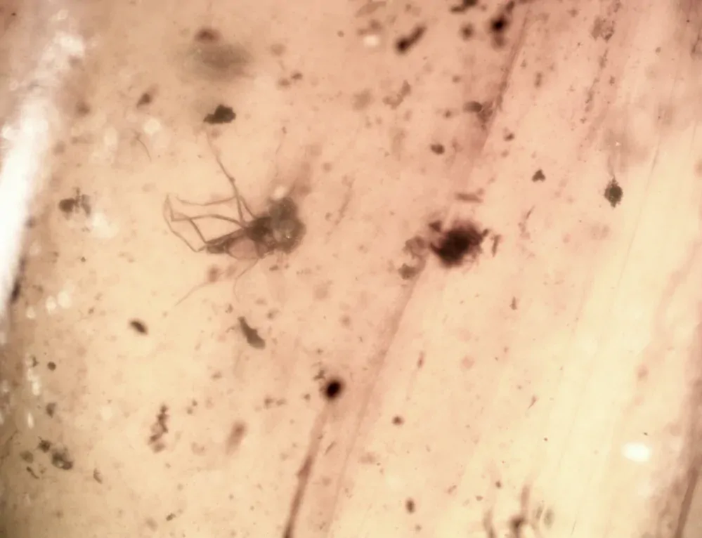 Druhohorní jantar z Myanmaru BJ-6