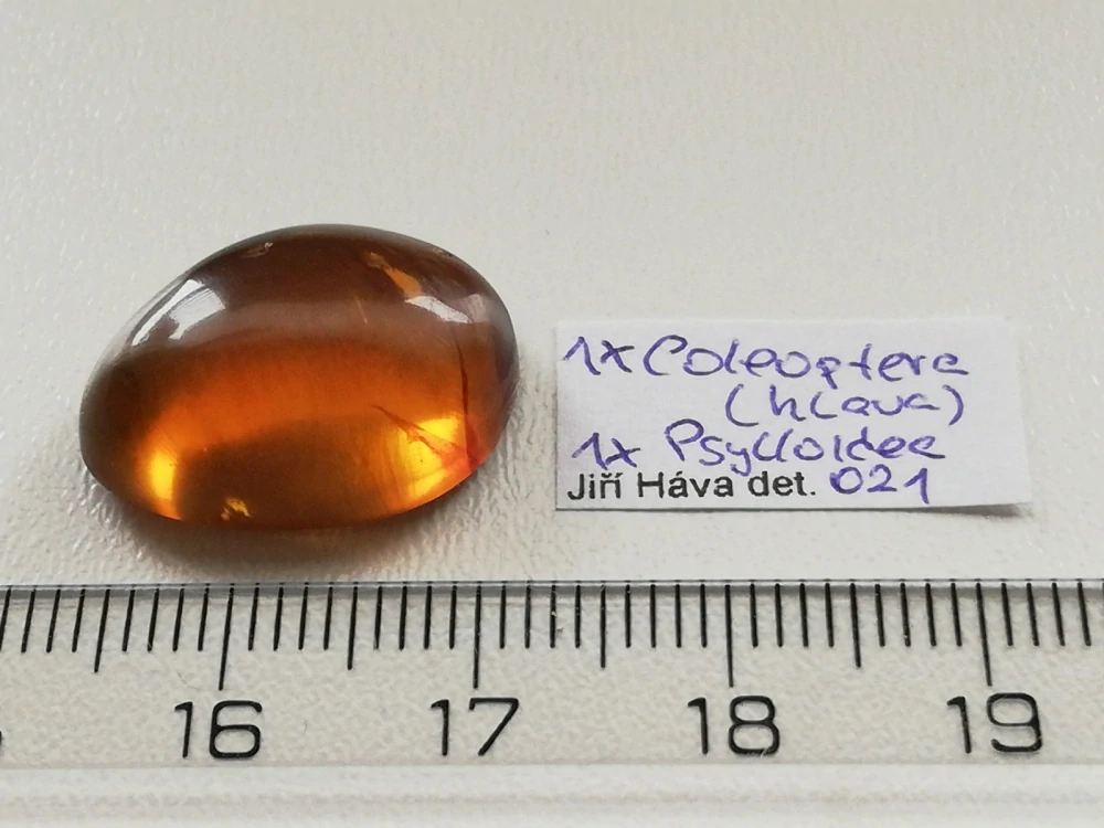 Druhohorní jantar z Myanmaru JHI-4