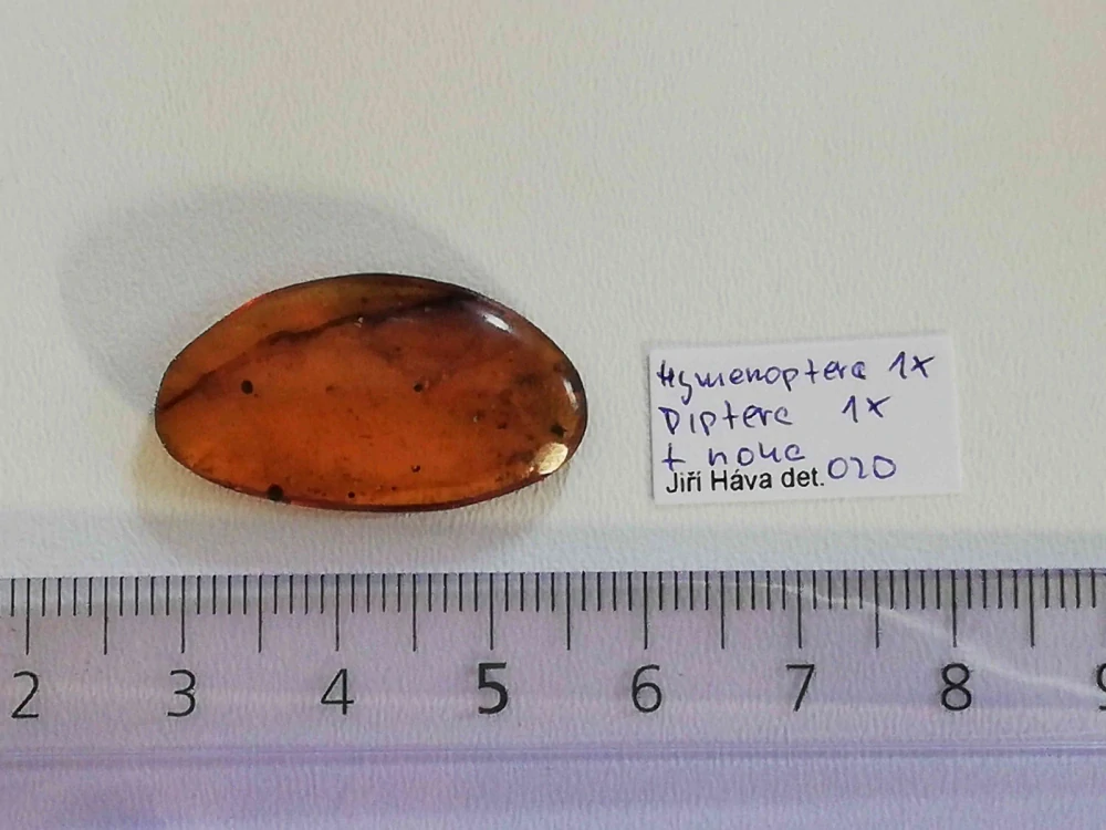Druhohorní jantar z Myanmaru JKI-14