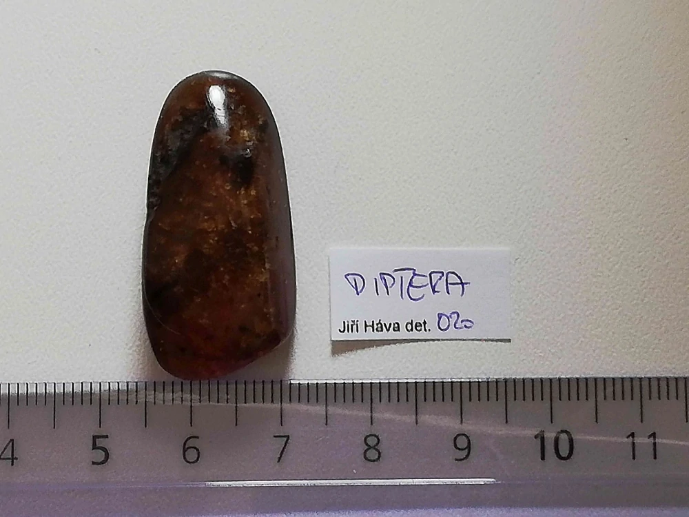 Druhohorní jantar z Myanmaru BJ-31