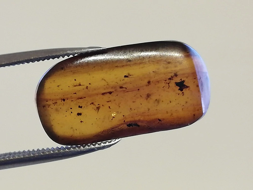 Druhohorní jantar z Myanmaru BJ-6